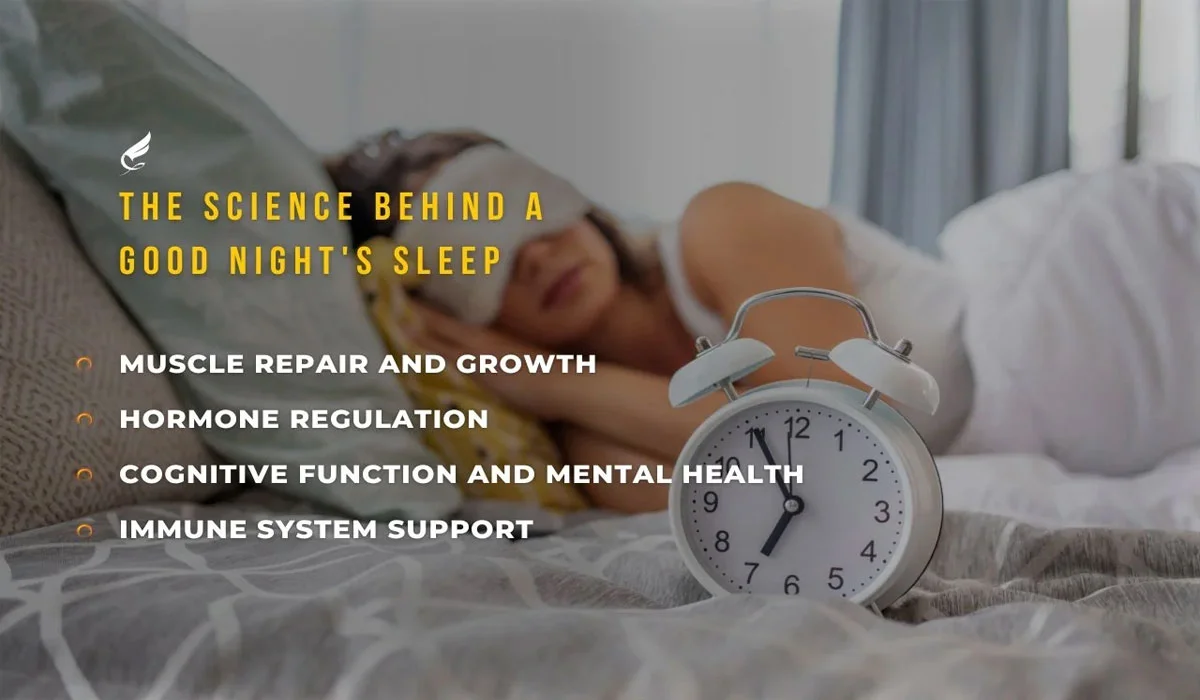 Quality Sleep as the Foundation of Body Recovery